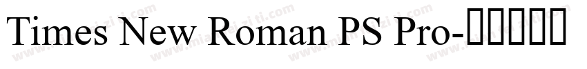 Times New Roman PS Pro字体转换